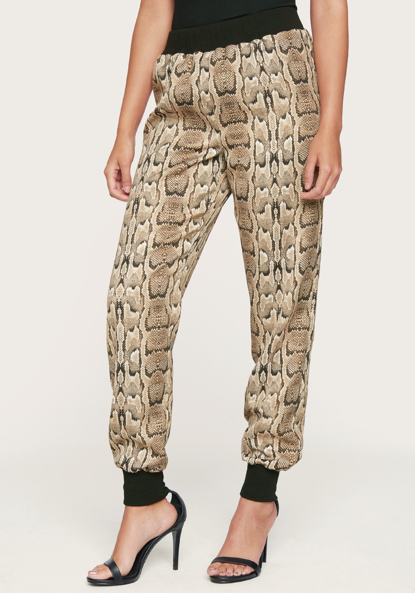 Bebe Women's Print Jogger Pant, Size XL in Camel Snakeskin Polyester